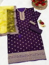 Patiyala House Pure Viscouse Embroidery Punjabi Patiyala Suits Suppliers In India

